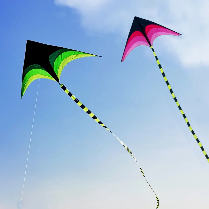 Adultos fáceis de voar grande  - Kite Easy Fly Kids avaliação e preço