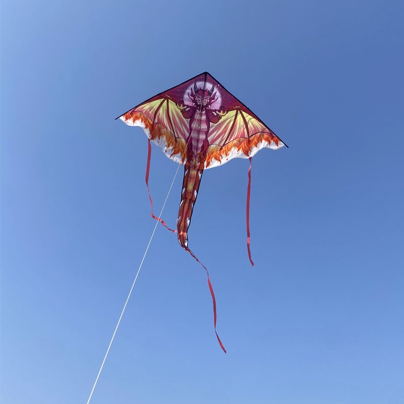 Grande pipa de dragão para cri - Kite Easy Fly Kids avaliação e preço