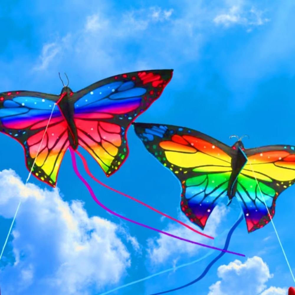 Fácil de voar colorido borbole - Kite Easy Fly Kids avaliação e preço