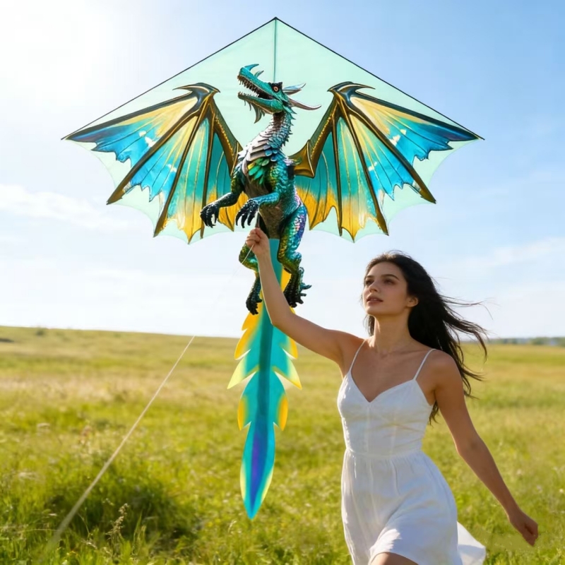 Pipas de Dragão, Brinquedos Vo - Kite Easy Fly Kids avaliação e preço
