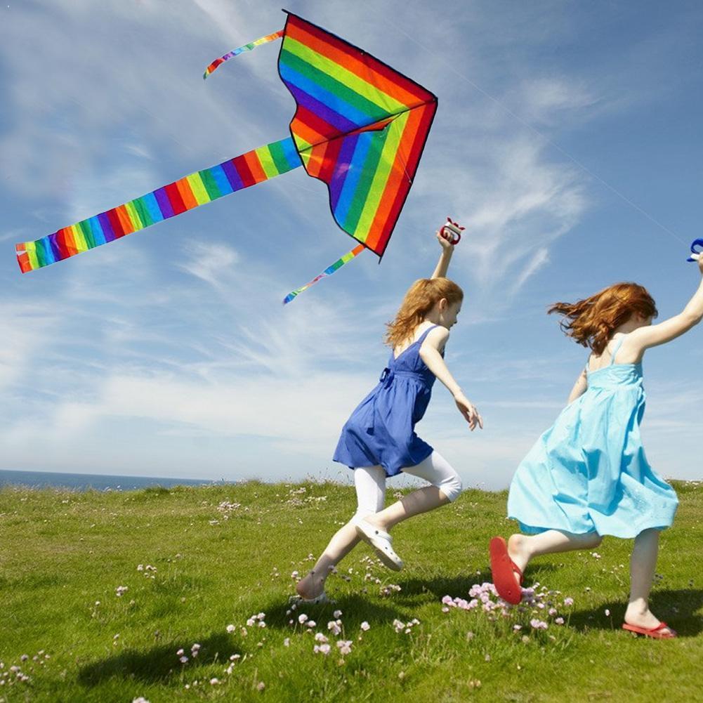 Fácil de Voar! Grande colorido - Kite Easy Fly Kids avaliação e preço