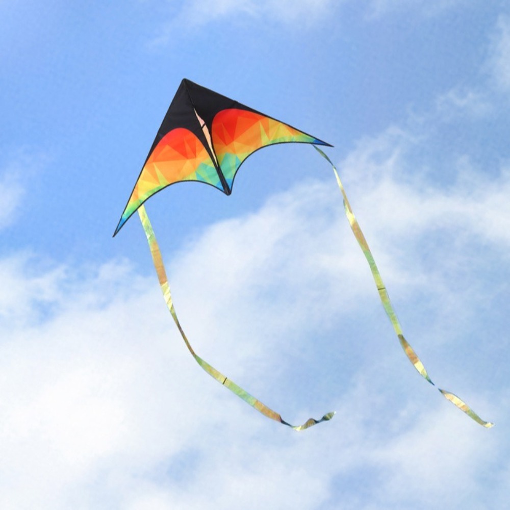 Pipa delta grande de cauda dup - Kite Easy Fly Kids avaliação e preço